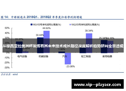 从穆西亚拉美洲杯发挥看其未来技术成长路径深度解析趋势研判全景透视 从穆西亚拉美洲杯发挥看其未来技术成长路径深度解析趋势研判全景透视