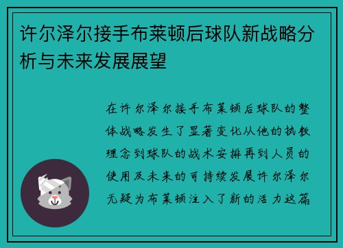 许尔泽尔接手布莱顿后球队新战略分析与未来发展展望 许尔泽尔接手布莱顿后球队新战略分析与未来发展展望